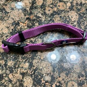 Blueberry Pet Classic Dog Collar, Dark Orchid, Nylon Collars for Dogs 🔴